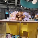 꼬꼬노래연습장 이미지