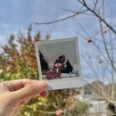 금성리 농로 1 | 창원 숙소 남산댁 촌캉스 느낌의 펜션 찐추천 (단체가능!)