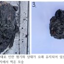 2025년6월 22일 수질 조사 보도자료 전문: 새만금 수질 정부 발표와 달리 문제 심각 이미지