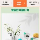 (올영 친일, 성추행 방관주의!!!) 올리브영 여름 필수템 핫썸머 쿨특가!! (7/6~7/12) 이미지