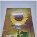 이땅 공인중개사사무소 이미지