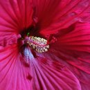 일곡실내골프연습장 이미지