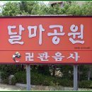 달마공원 Daum카페