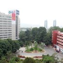 우송대학교 이미지