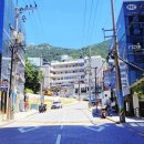 헌혈의집 하단센터 이미지