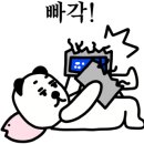 노체부어 이미지