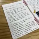 부디제주(스테이) 이미지