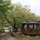 진전면 미천마을 마을회관 이미지