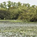 주남농장 이미지