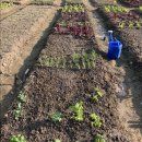 대원농장2 이미지