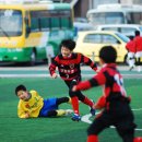 합성초등학교 이미지