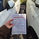 레온뷰티 | 마스카라 대신 블랙틴팅펌? 울산 속눈썹펌 레온뷰티 솔직후기