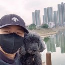 세븐일레븐 대림중앙점 이미지