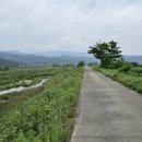 남천제방길 이미지