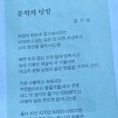 김기남 카카오 검색결과