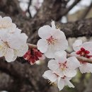 그날이오면 이미지