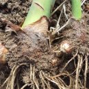 신두리농장 이미지