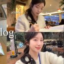 일상의 발견 | 아보하: 평범한 일상의 가치 재발견