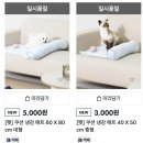 쿨패스 | [내돈내산] 다이소 반려동물 냉감 쿨매트 후기
