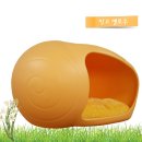 펫하우스애견 이미지