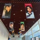 더(The) 스타일난다 | 2026년 데이식스 콘서트 10주년 투어 <The DECADE> 대구콘 후기 : EXCO 엑스코 A구역 시야