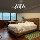 글로카로카 호스텔 이미지