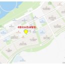 Dream of Judo 세종유도관 보람점 이미지