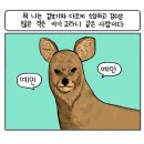 도가원 이미지
