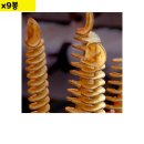 화영휴게소 이미지