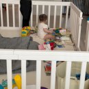 (주)체리센스 | 백칠십칠번째 주간일기 : 11월 넷째주차