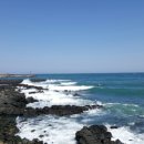 동해바다 이미지