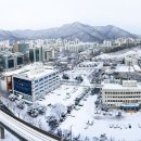수리별 일간스포츠