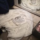 WEST SUN | 정샘물 웨스트 웨딩 메이크업 헤어 청담 메이크업샵 가격 내돈내산 후기