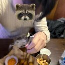 인쌩맥주강릉
