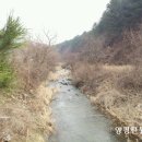 대명펜션 - 중구 용유서로302번길 14-2 | 대명펜션