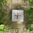 마산리목장 | 백두대간 제8구간(부항령-백수리산-삼도봉-심마골재-밀목재-석교산-우두령)산행