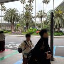 주식회사 제주로렌트카 | 제주도 렌트카 제주로렌트카 후기 내돈내산 슈어어플설치
