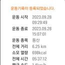 능선 소나무 숲 이미지