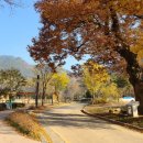 명품옻골1616협동조합 이미지