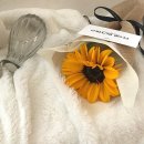 달플로르 이미지