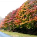 유치자연휴양림 이미지