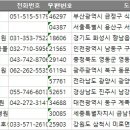 삼척시동물보호센터 동물병원 이미지