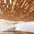 so tree farm 이미지