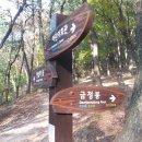 초읍동-21 이미지