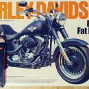 타미야 1/6 Harley-Davidson Fat Boy Lo 및 에칭 일괄판매합니다. 이미지