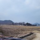 도촌양계장 이미지