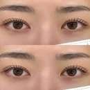 YU 뷰티샵 | 양천구 목동역 속눈썹펌 추천, 신정동 더유뷰티 속눈썹 펌 솔직 후기