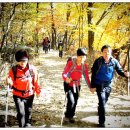 무릉1공원 이미지