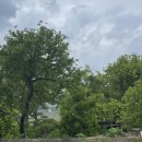 나정펜션 | 경주 한옥숙소 나정펜션 예약 내돈내산 후기