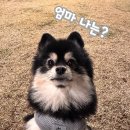 황토돌담집 이미지